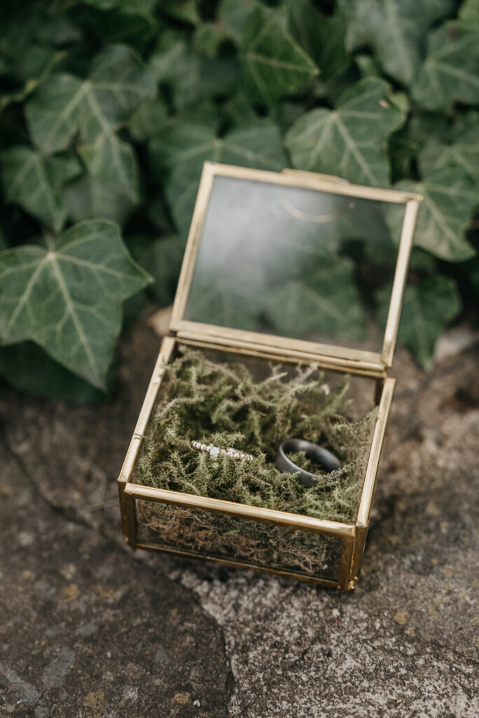 Ein dunkler Ehering und ein heller Ring mit kleinen Steinen liegen auf Moos in einer geöffneten Glasbox mit goldfarbenem Rahmen. Dahinter wächst Efeu.